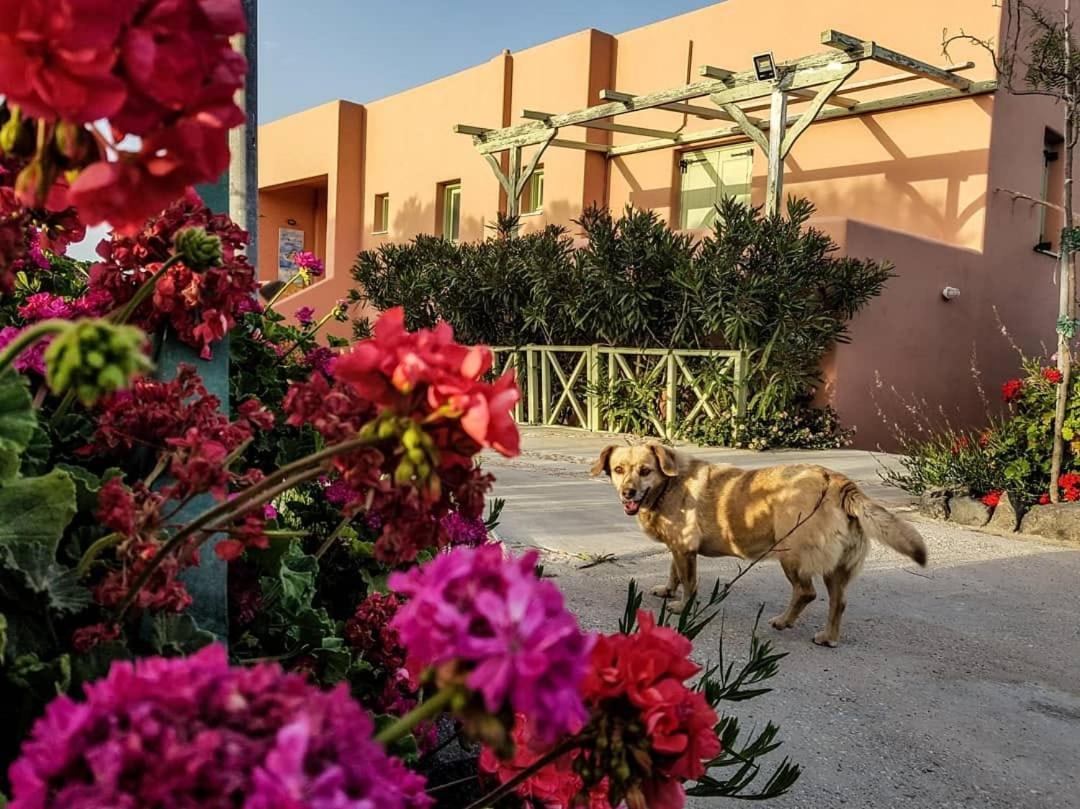 Flower And Crafts - The Eco Nature House Monolithos  Bagian luar foto