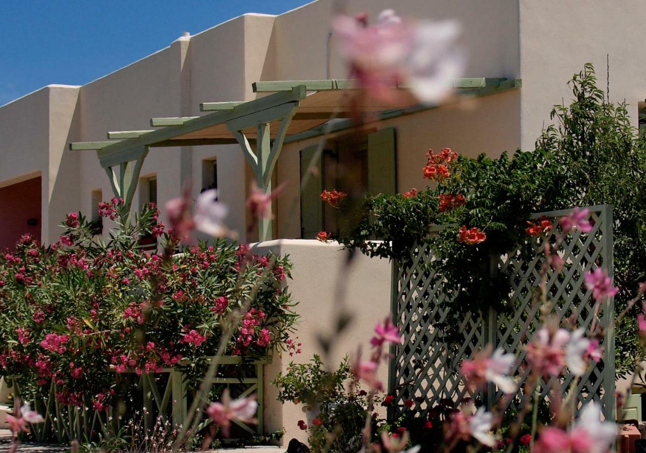 Flower And Crafts - The Eco Nature House Monolithos  Bagian luar foto